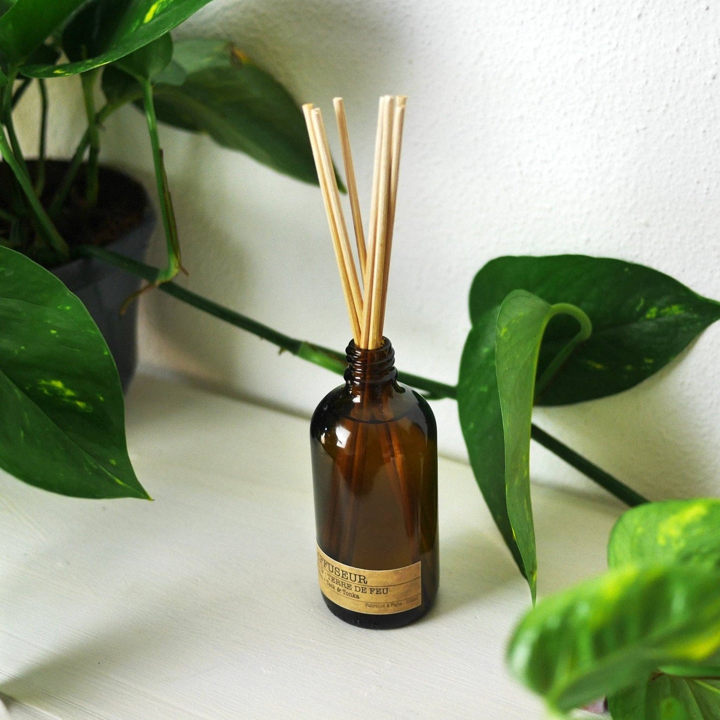 Diffuseur No. 10 BRAISES HIVERNALES - Feu de Bois + Cèdre