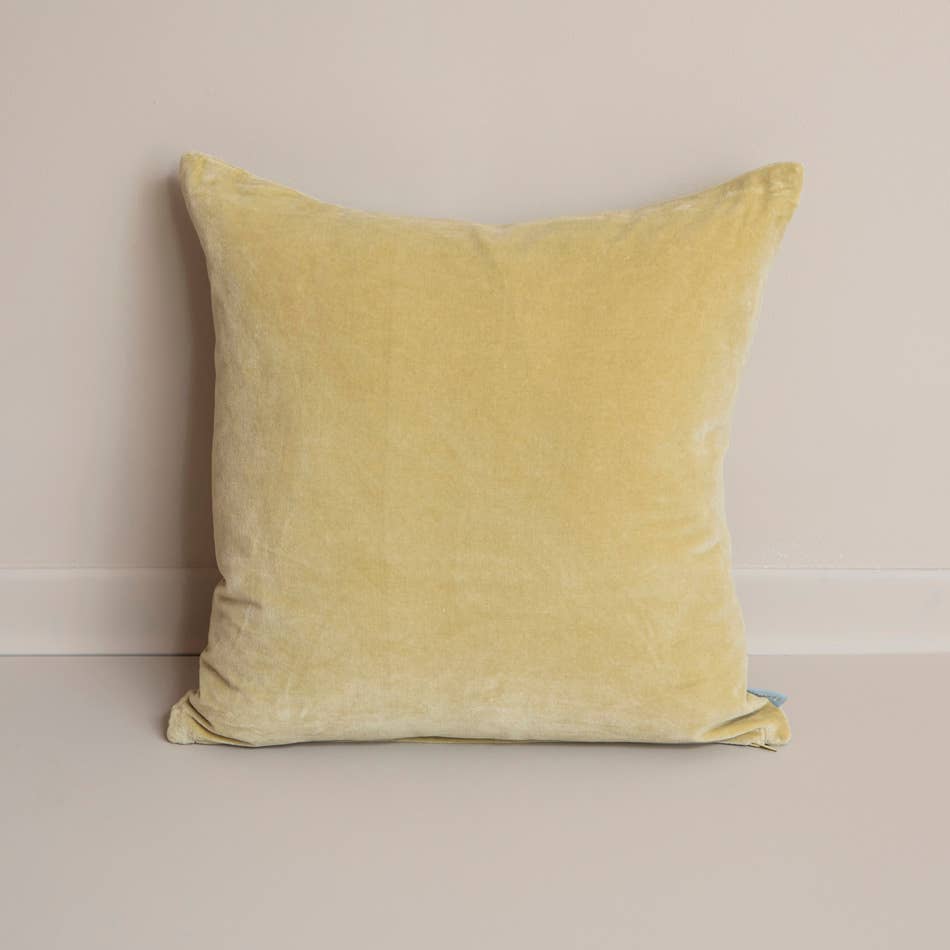 Coussin velours - 50x50 cm