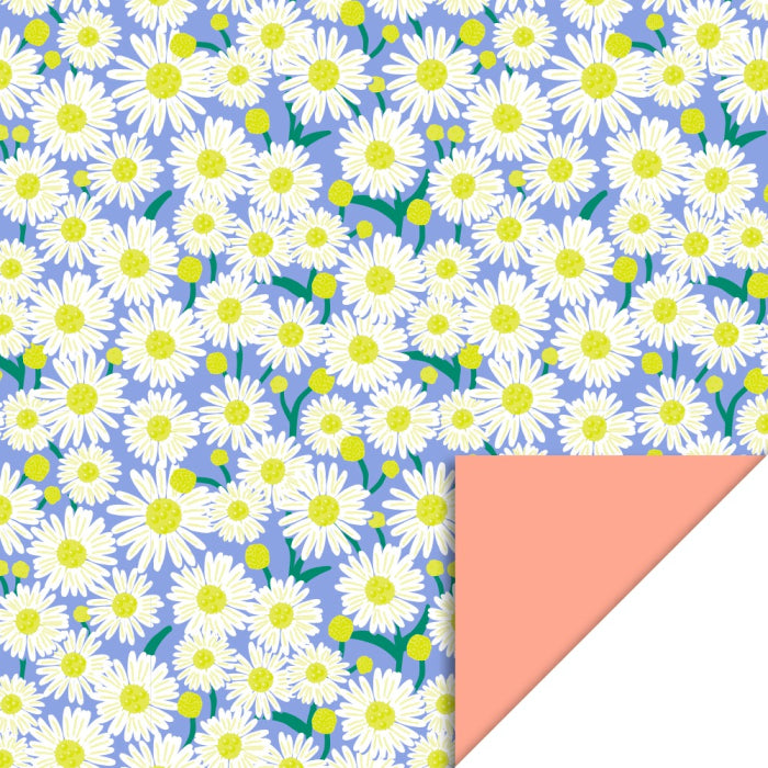 Rouleau papier cadeau - Paquerettes