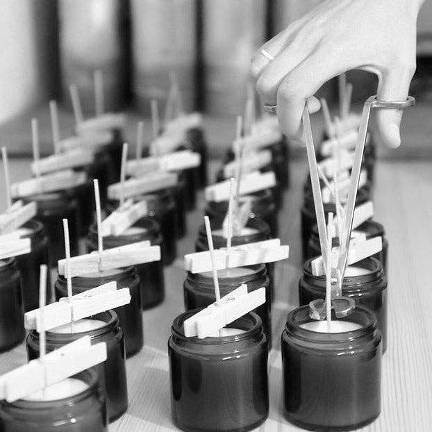 Bougies parfumées SIGNATURE - LA BOUGIE HERBIVORE