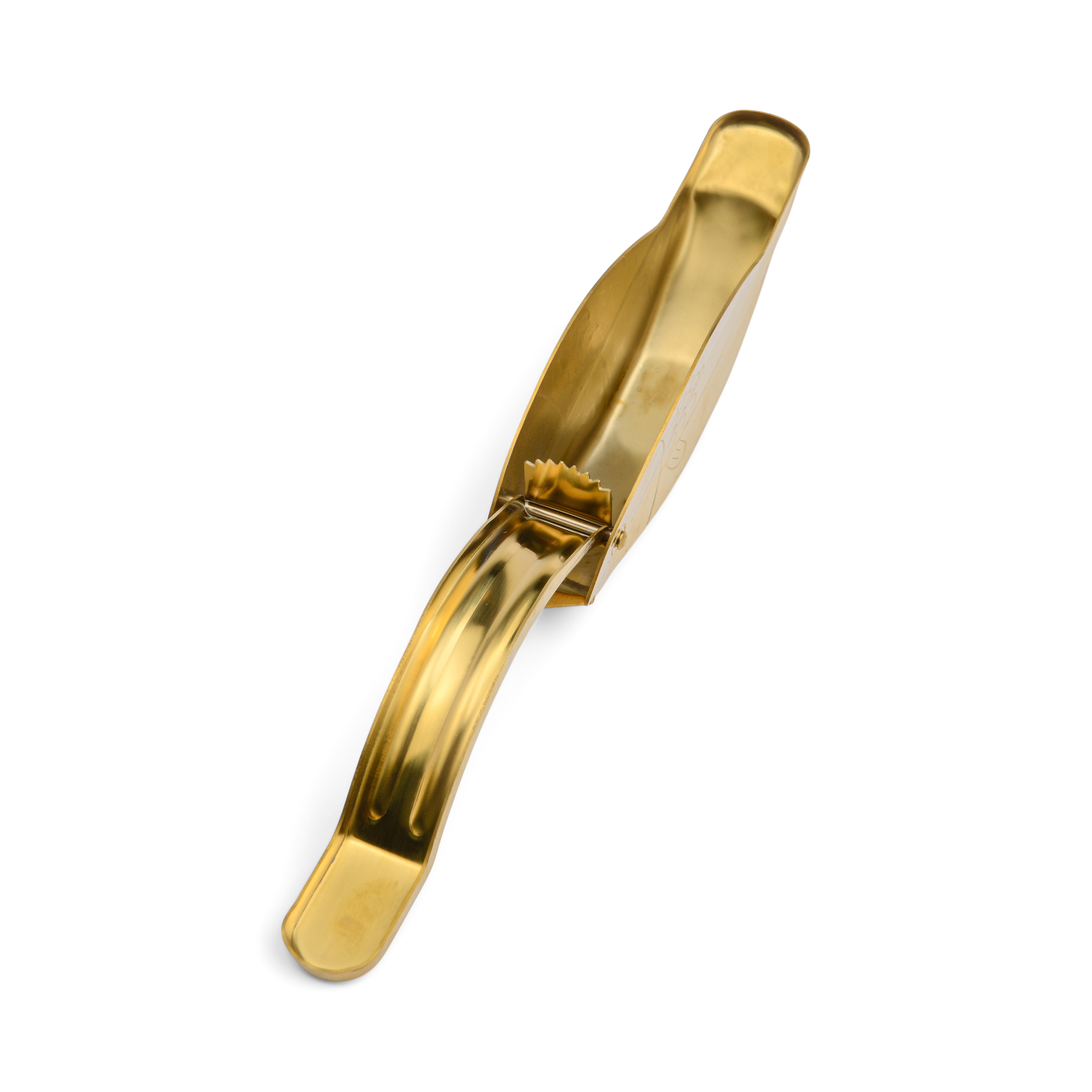 Presse citron STEVIE Fish