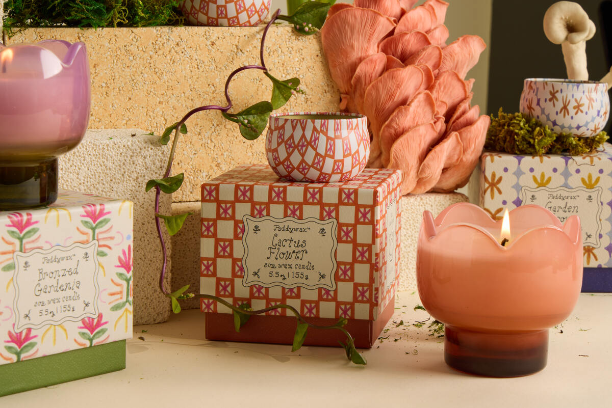 Bougie parfumée TULIPE - Cactus Flower