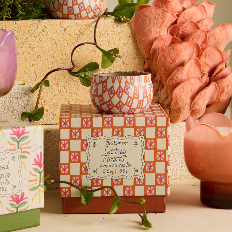 Bougie parfumée TULIPE - Cactus Flower