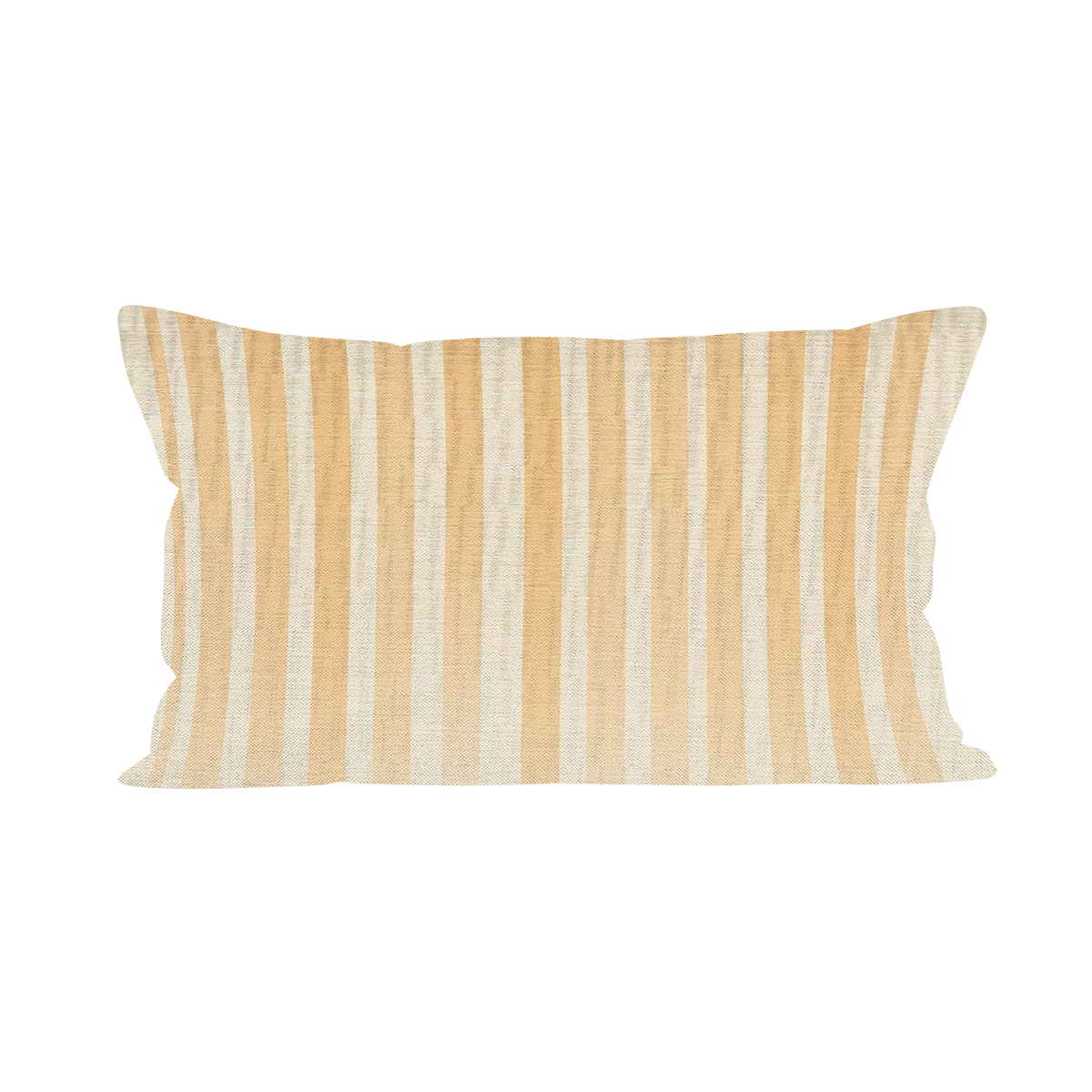 Coussin BISOU PAU