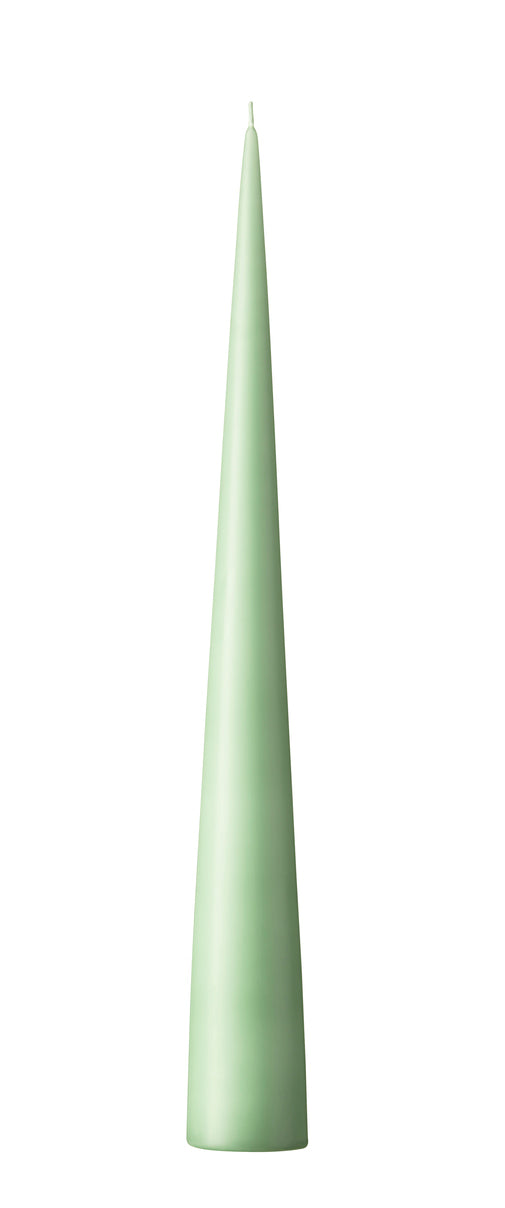 Bougie CONE - 25 cm - N°66 Eucalyptus